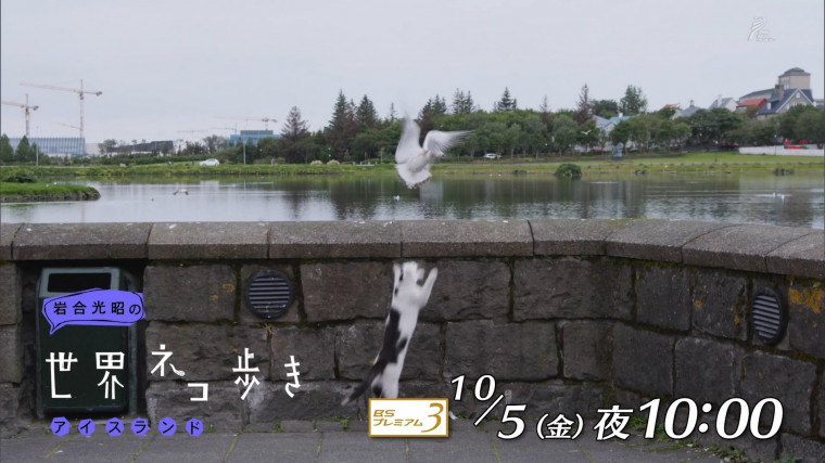 iwa1018d.jpg