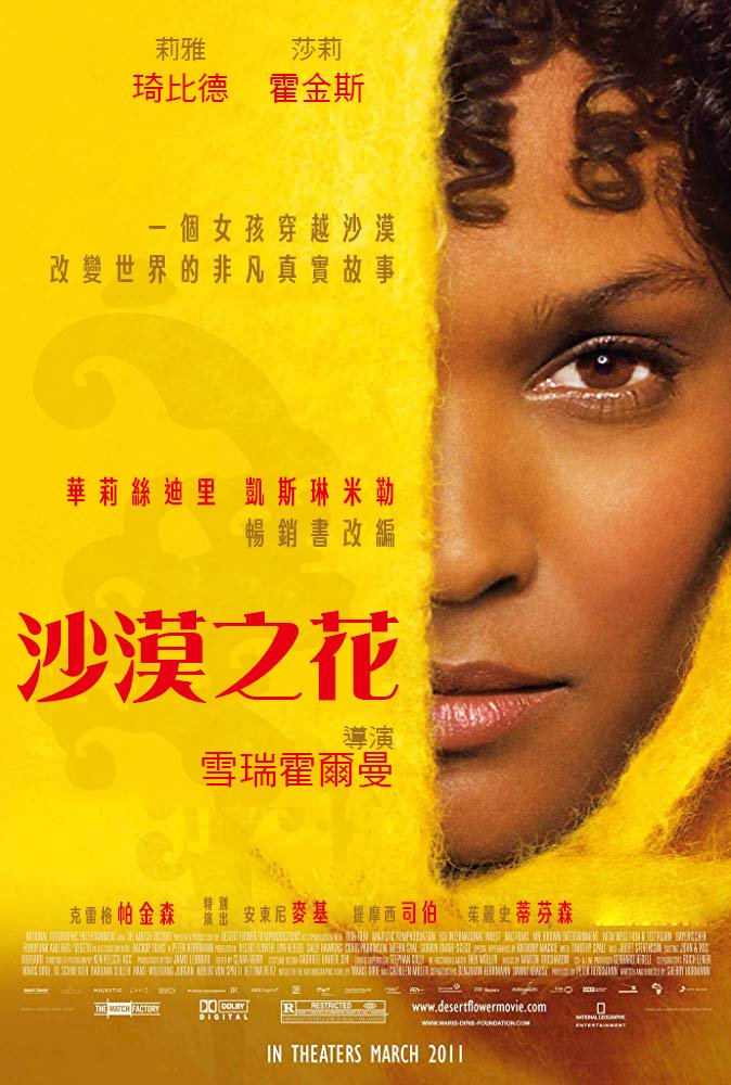 沙漠之花 DIY台灣海報
