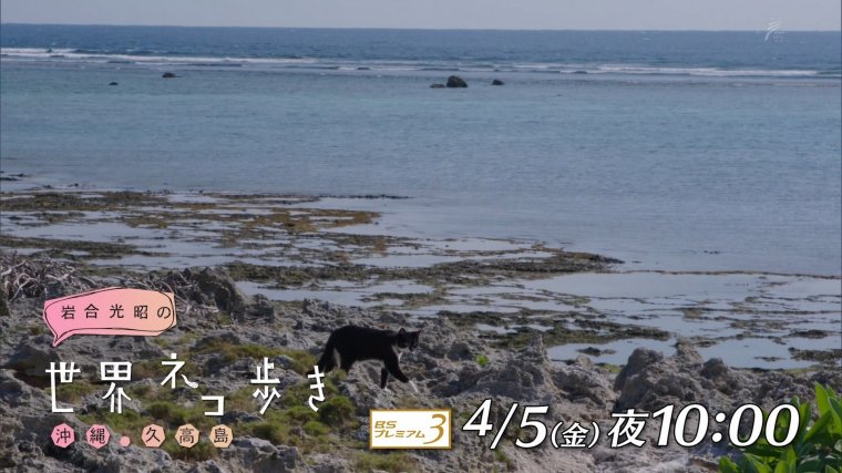 iwa0419b.jpg
