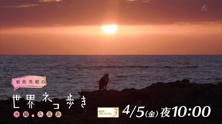 iwa0419d.jpg