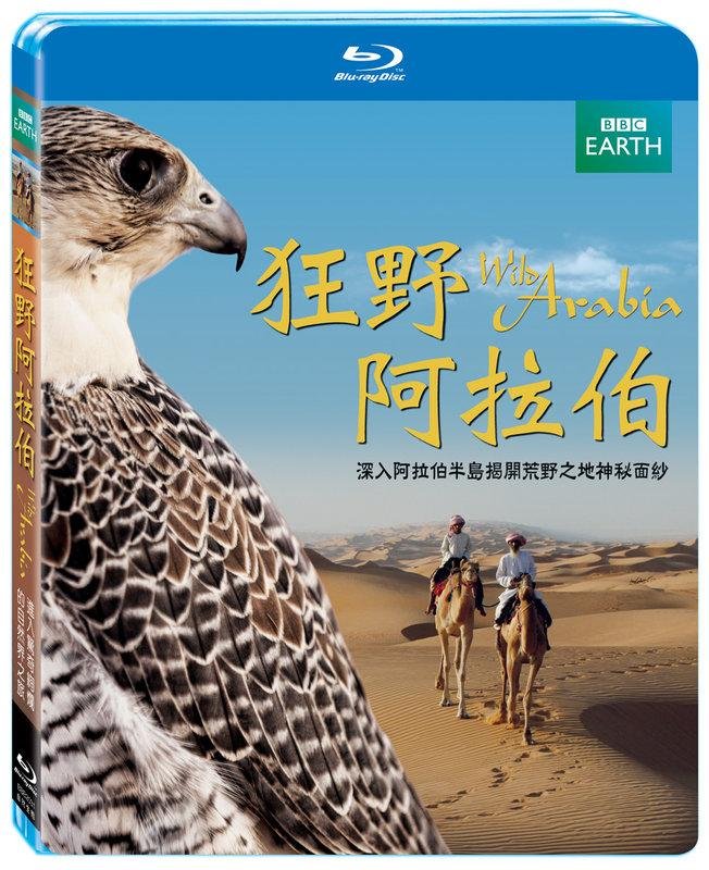 狂野阿拉伯.jpg