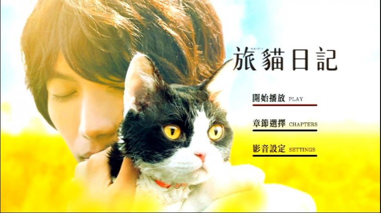 旅貓日記.JPG