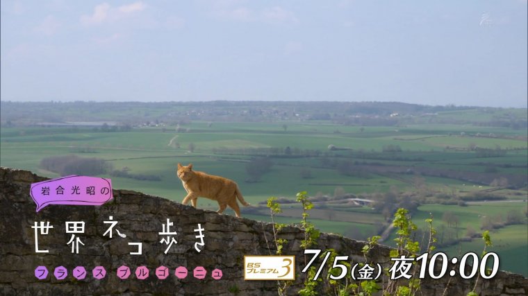 iwa0719b.jpg