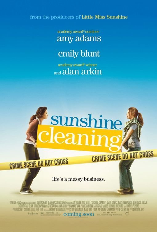 Sunshine Cleaning.jpg