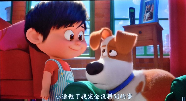 4K BD_寵物 (2).JPG