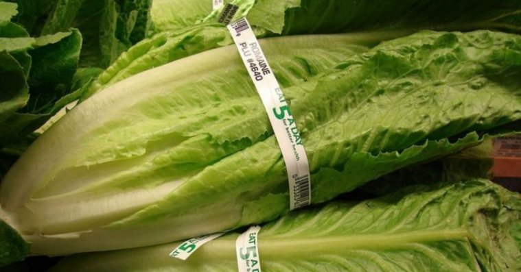 20191202re0101-810x424.jpg