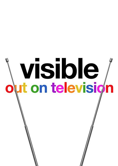 Visible.Out.on.Television.(A+).S01.看見驕傲：同志文化電視史.jpg