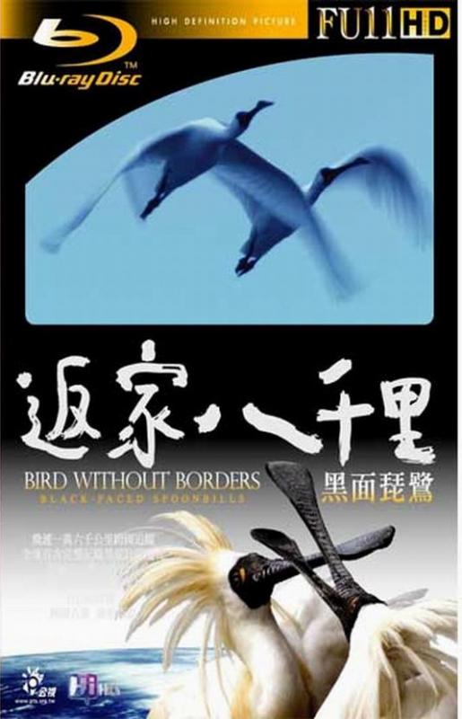 返家八千里.jpg