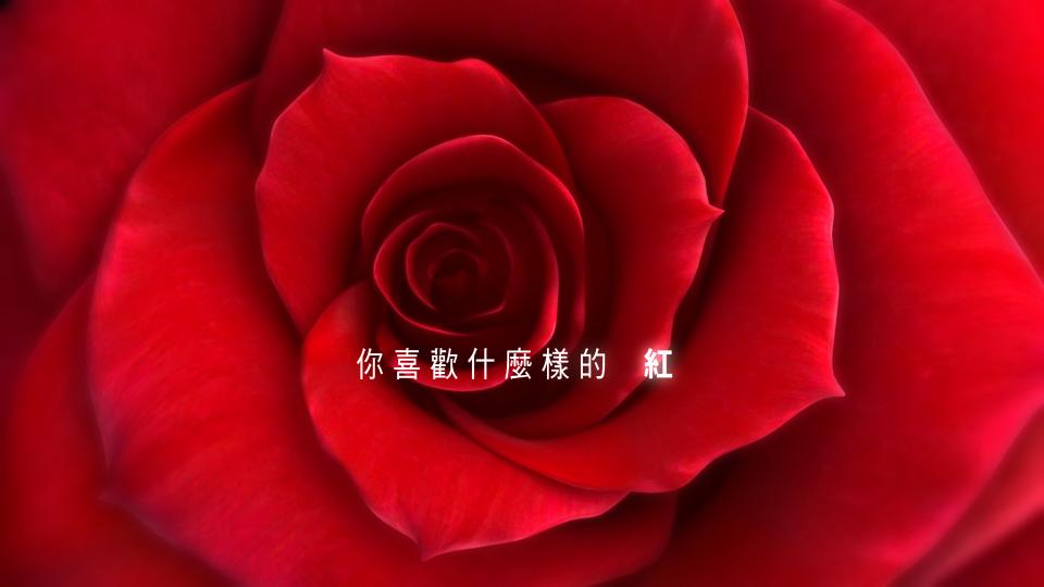 TW_40sec_Super_N3.0170.jpg