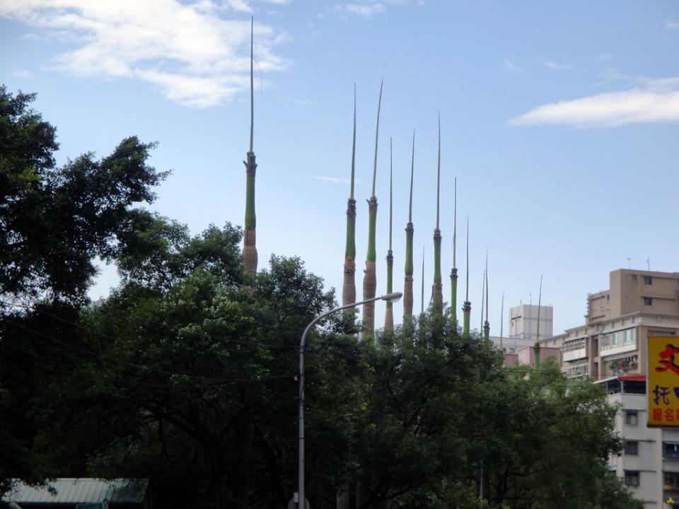DSC02260.JPG