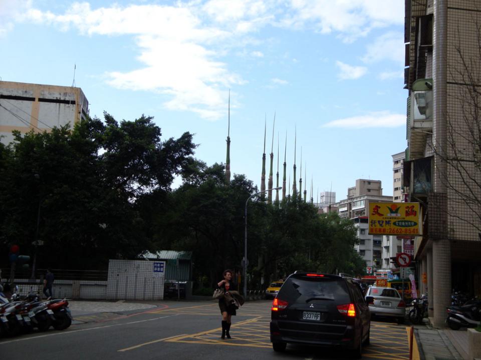 DSC02261.JPG