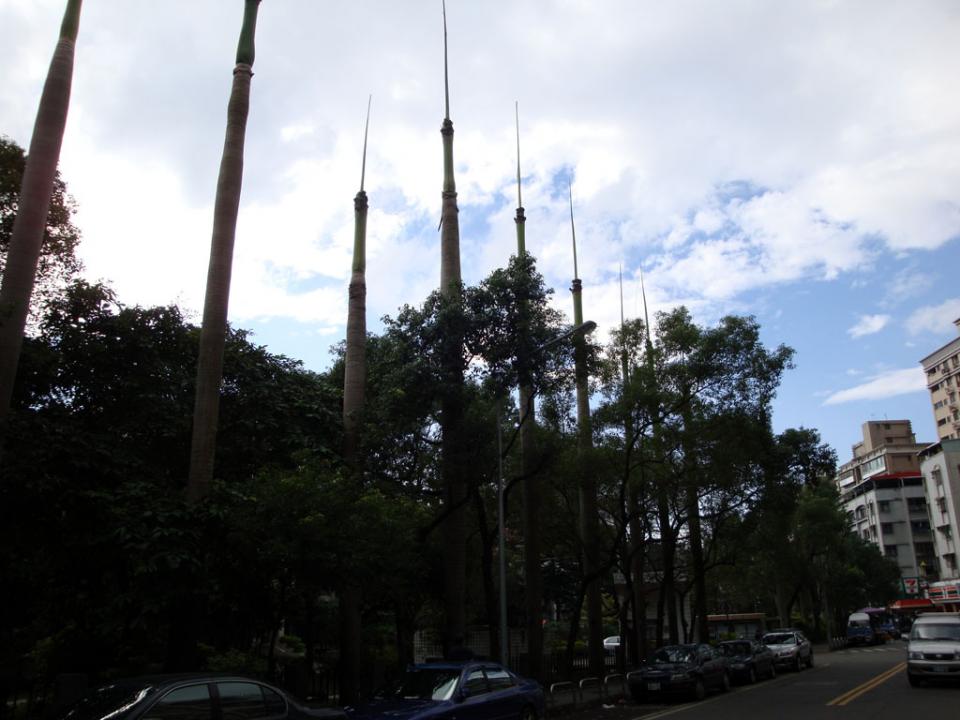 DSC02267.JPG