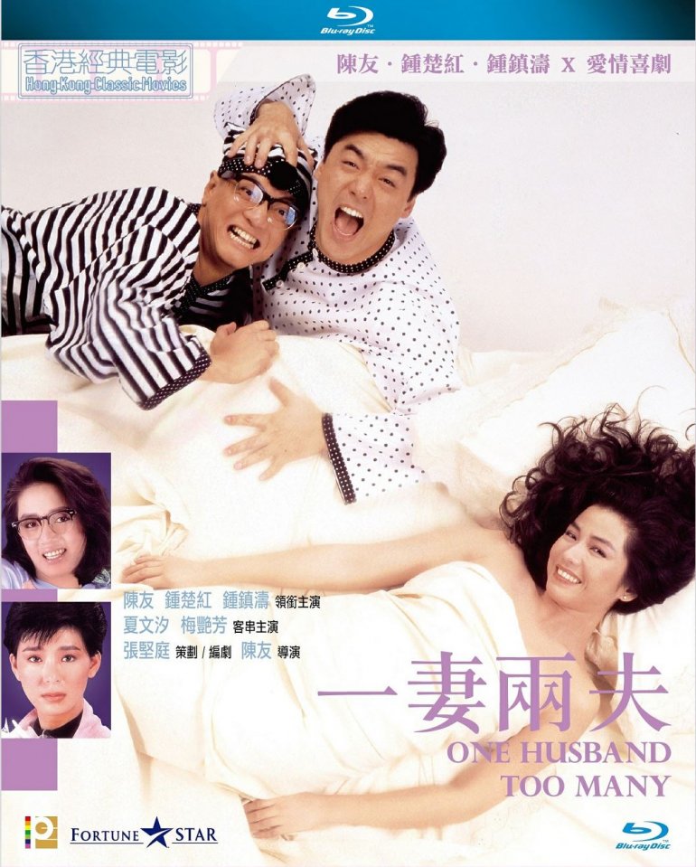 One Husband Too Many 1988 BluRay 1080p x264 TrueHD 5.1.jpg