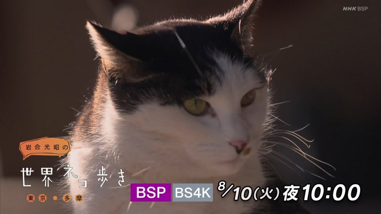 iwa0821b.jpg