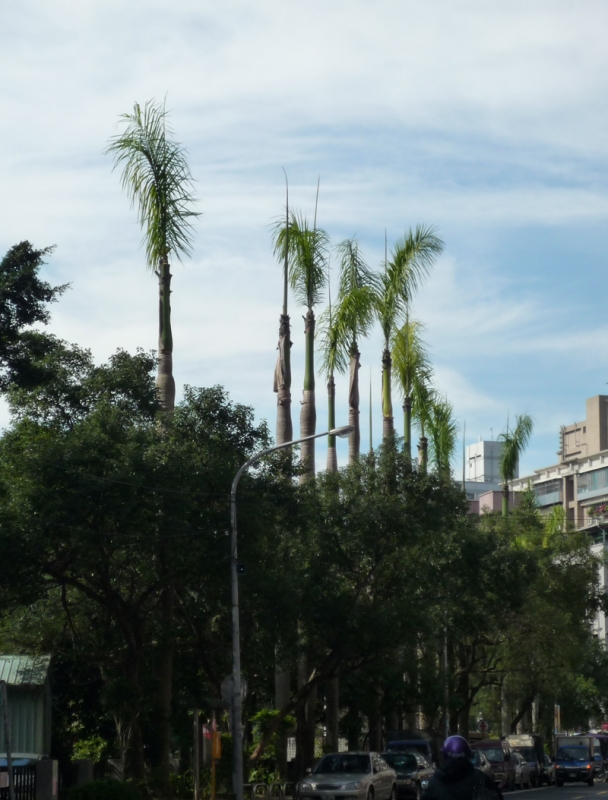 P1000023.JPG