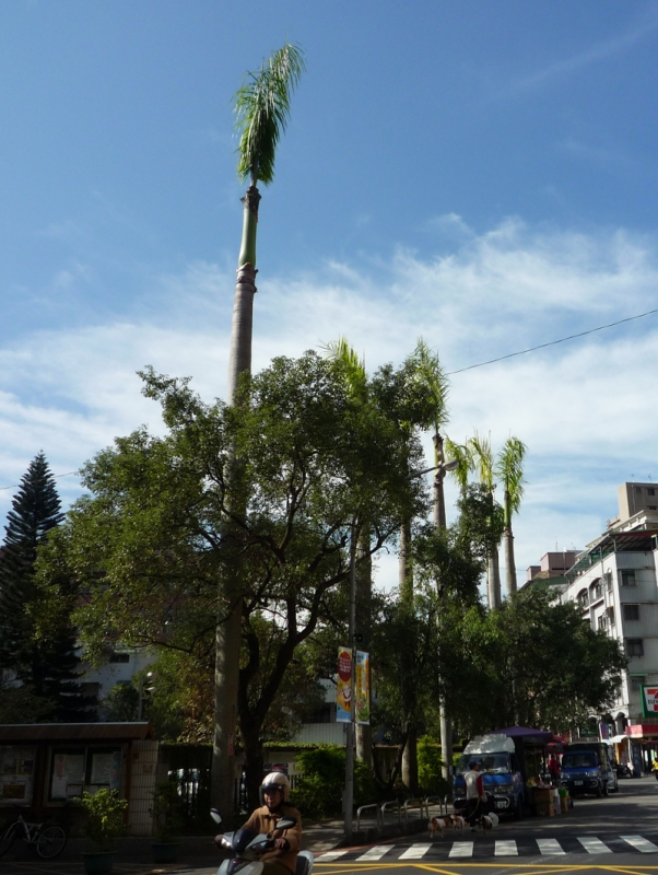 P1000024.JPG