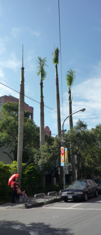 P1000025.JPG