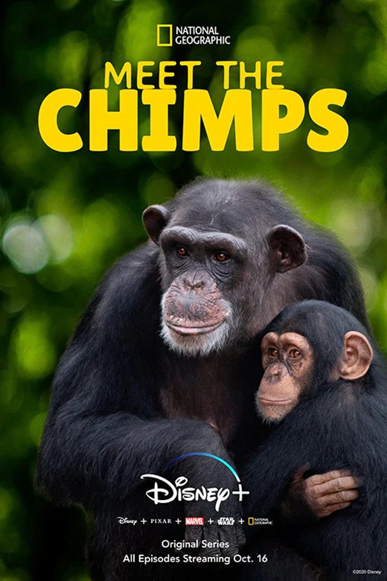 Meet The Chimps(猩猩相識).jpg