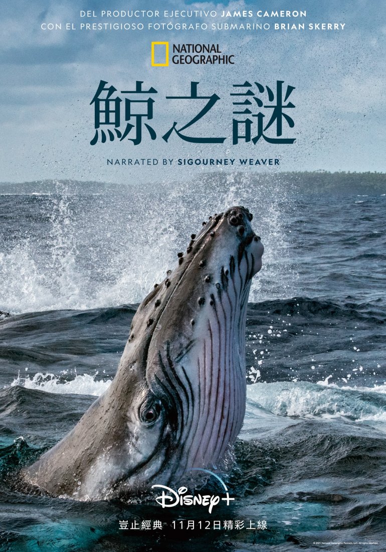 Secrets of the Whales S01(鯨之謎 第一季).jpg