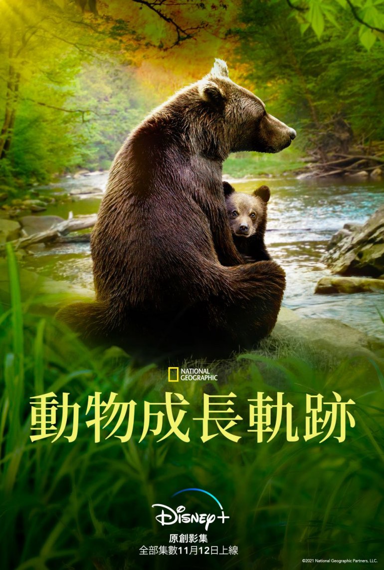 Growing Up Animal S01(動物成長軌跡 第一季).jpg
