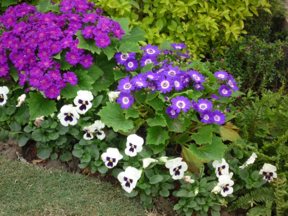 P1000001.JPG