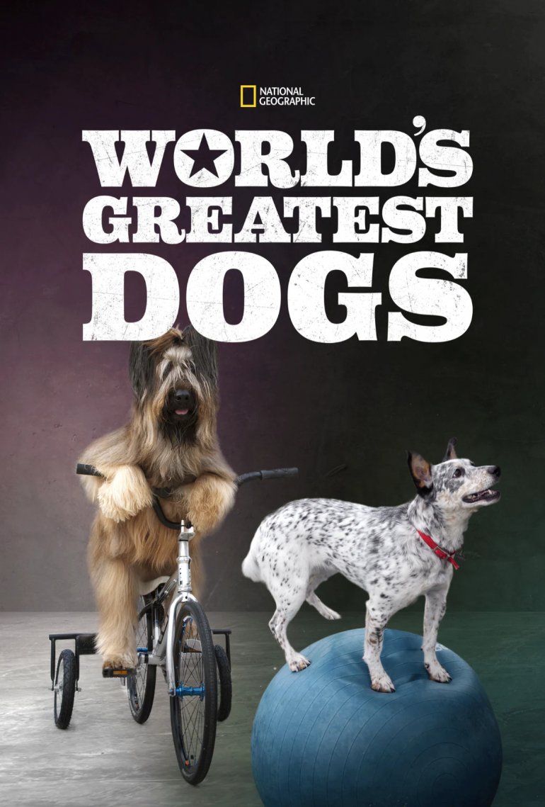 World's Greatest Dogs(世界靈犬大全).jpg