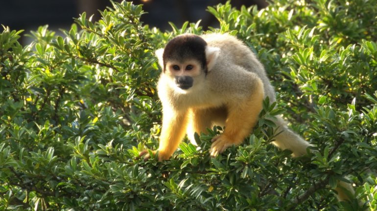 zoo1121b.jpg