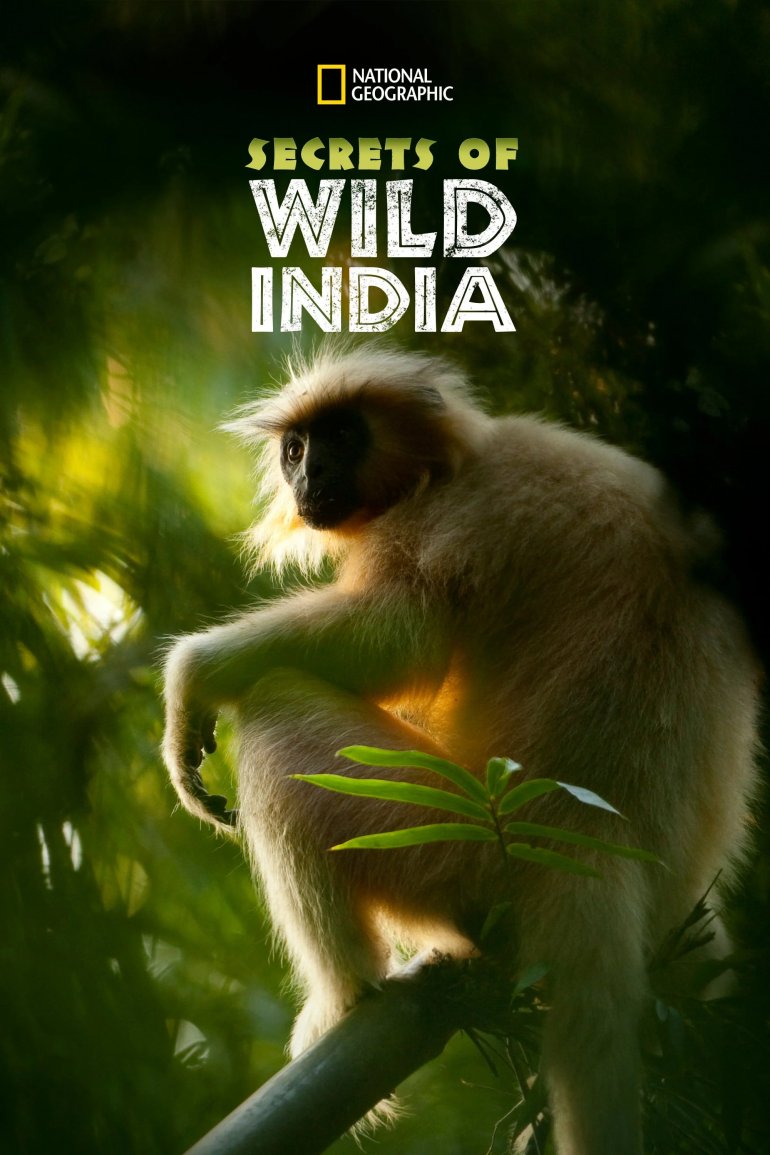 Secrets of Wild India S01(野性印度的祕密 第一季).jpg
