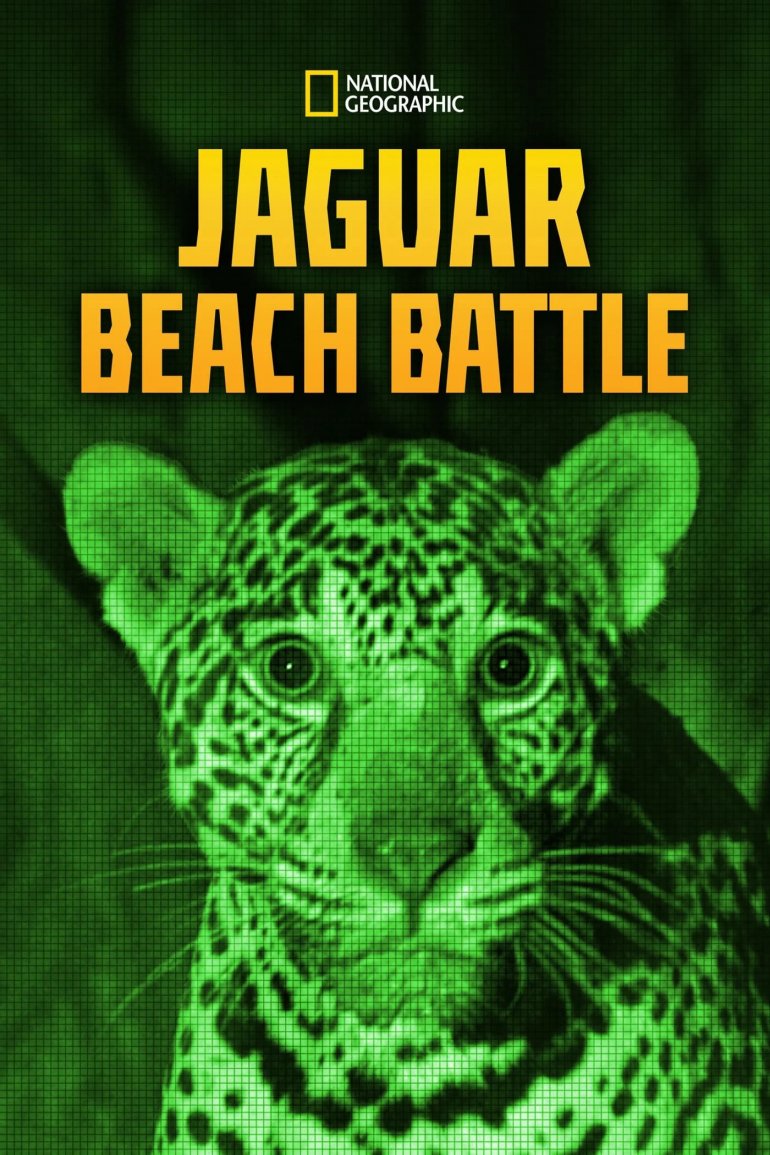 Jaguar Beach Battle(美洲豹的海灘戰).jpg