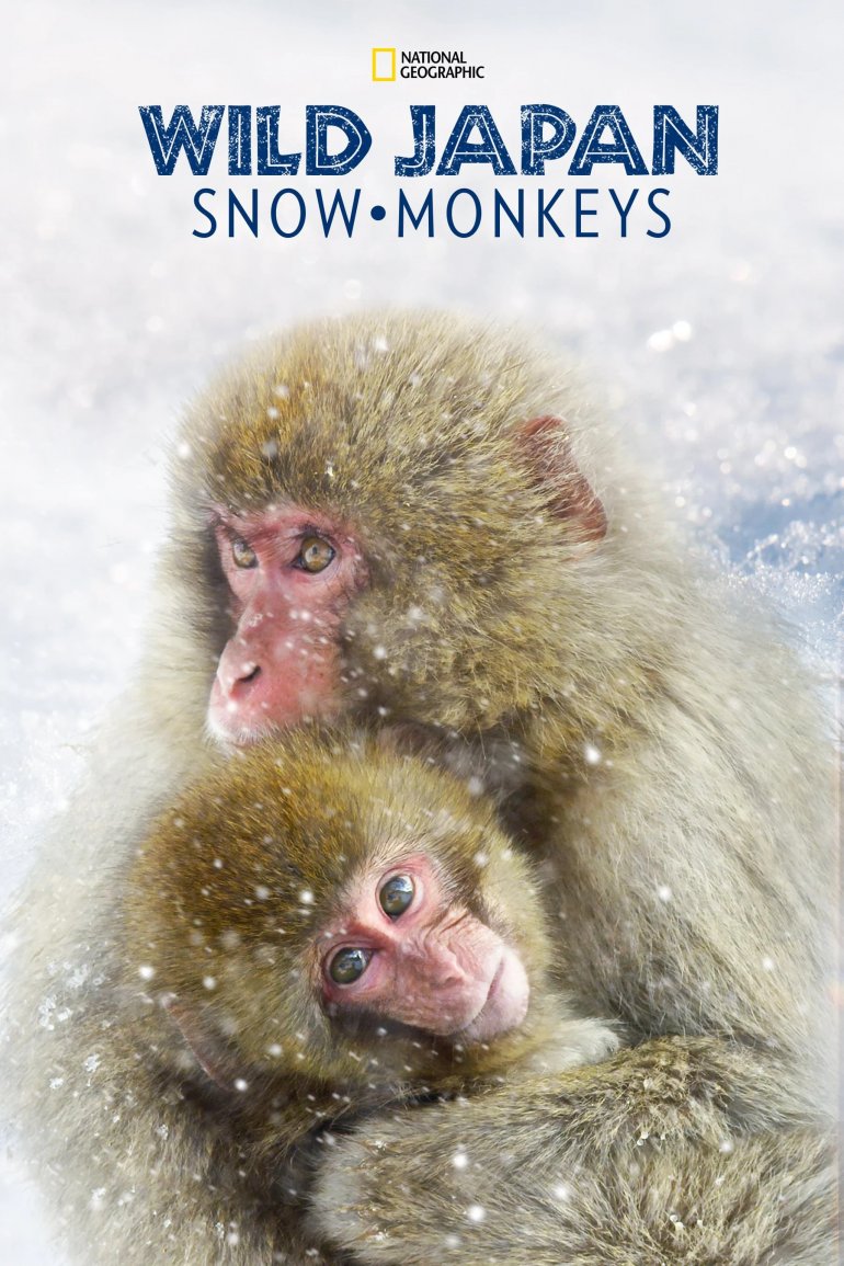 Wild Japan：Snow Monkeys S01(野性日本：雪猴 第一季).jpg