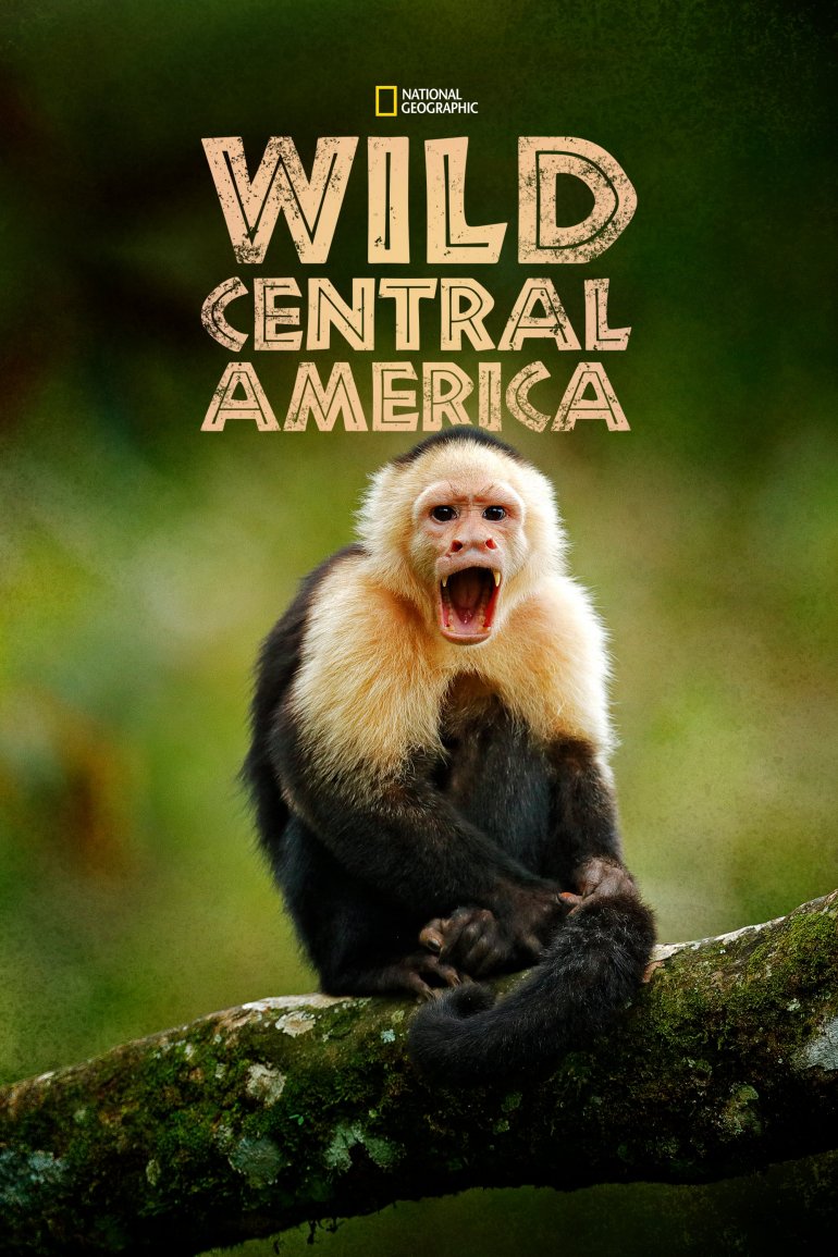 Wild Central America(野性中美洲).jpg