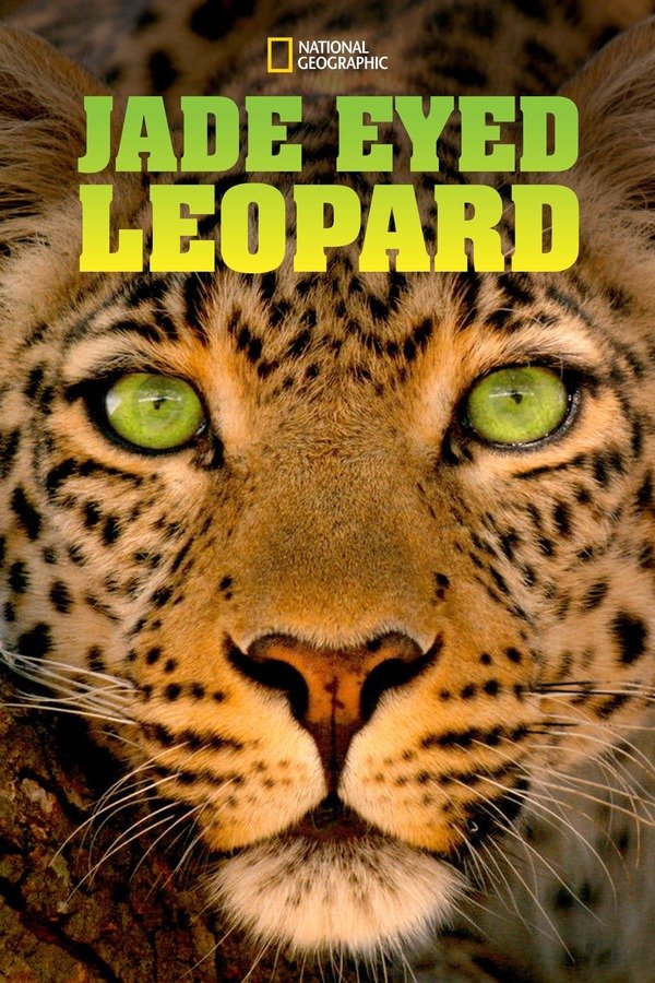 Jade Eyed Leopard(碧眼花豹).jpg