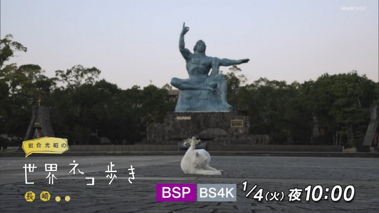 iwa0122a.jpg