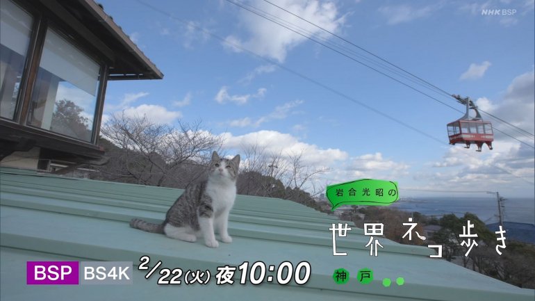 iwa0222c.jpg