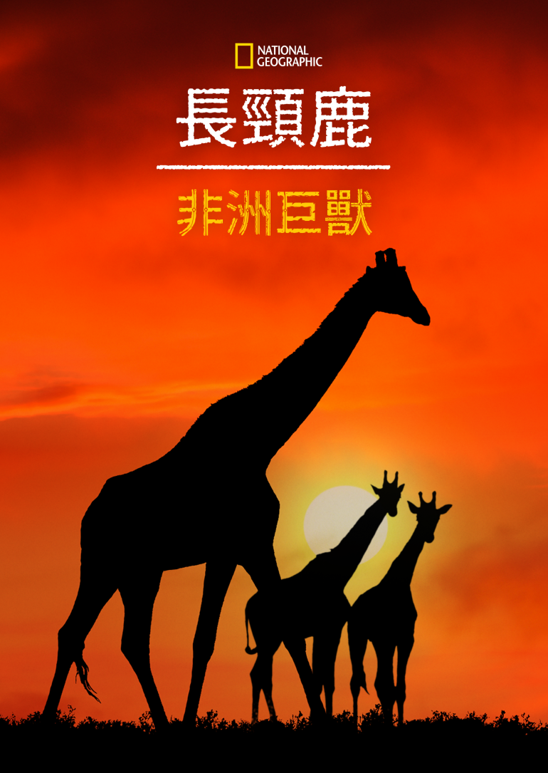 Giraffe：African Giant(長頸鹿：非洲巨獸).png