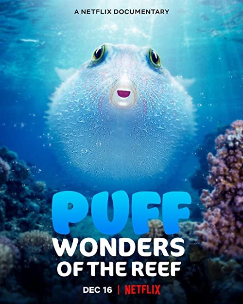Puff.Wonders.Of.The.Reef.(Netflix).2021.河豚視角：驚艷珊瑚礁.jpg
