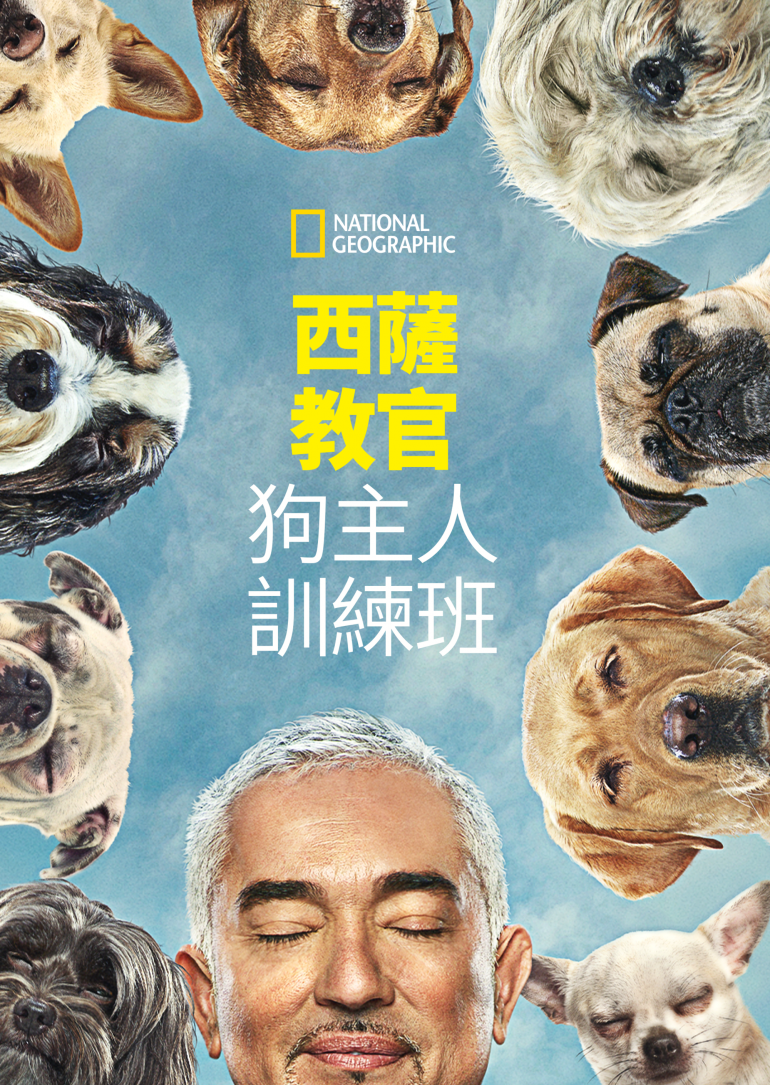 Cesar Millan：Better Human Better Dog S01(西薩教官狗主人訓練班 第一季).png