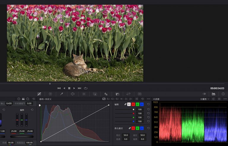 螢幕擷取畫面 2022-03-30 110404.jpg