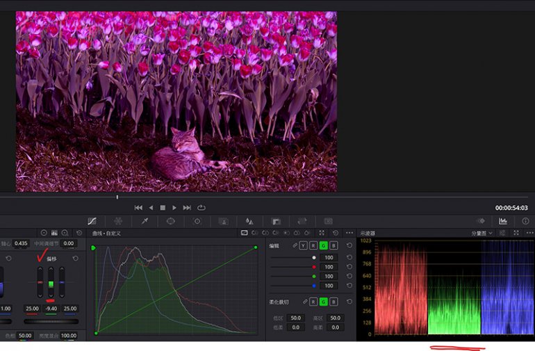 螢幕擷取畫面 2022-03-30 115851.jpg