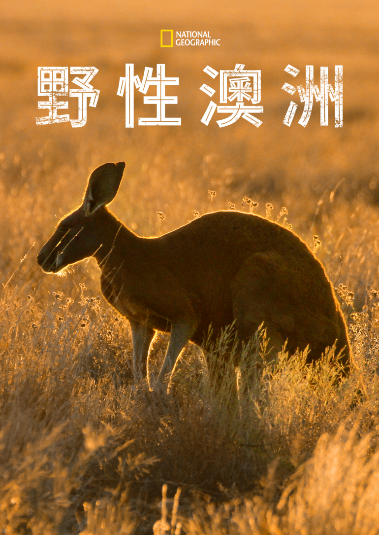 Wild Australia S01(野性澳洲 第一季).png