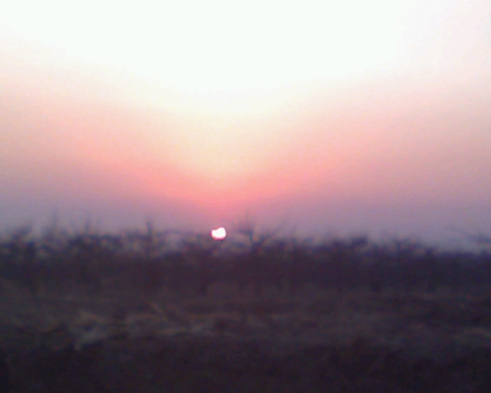 Image_00065.jpg