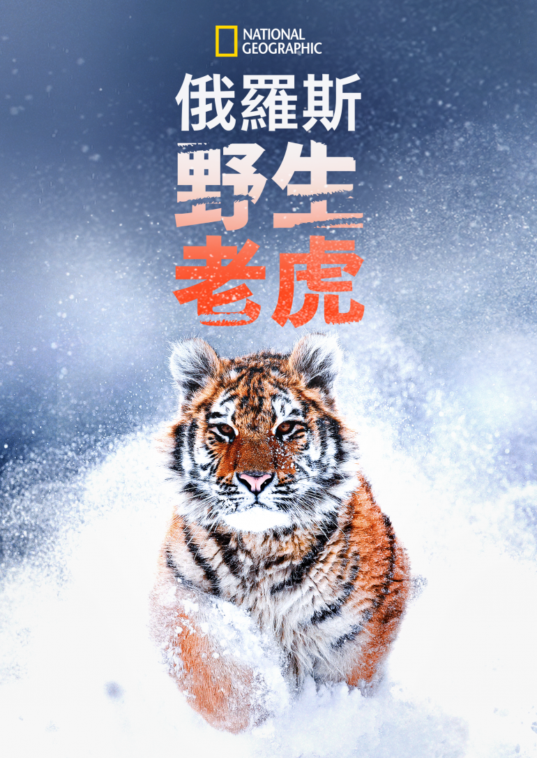 Russia's Wild Tiger.png