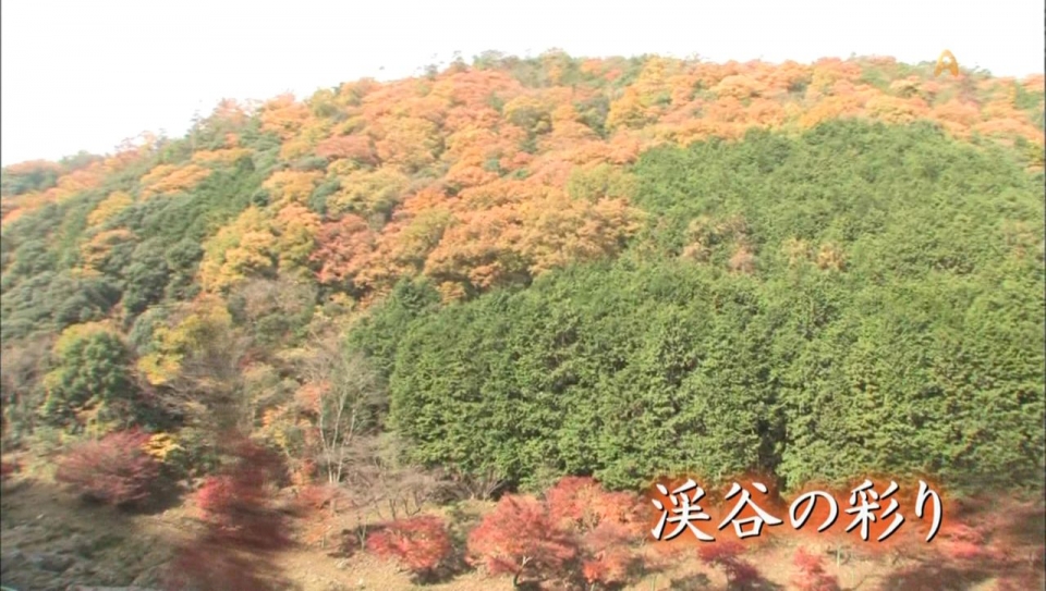 [hd.club] 鉄道・絶景の旅.001.006.jpg