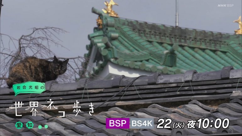iwa0322u.jpg