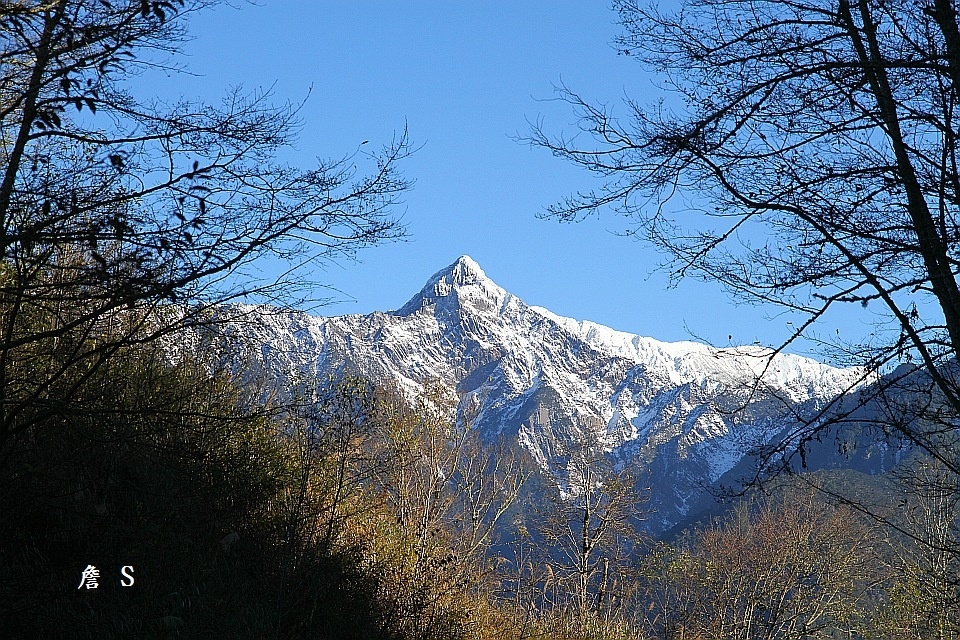 A101煙火005.jpg