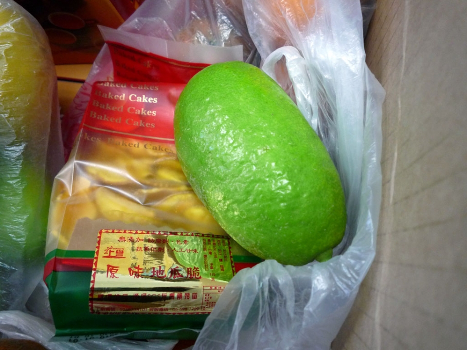 P1000010.JPG