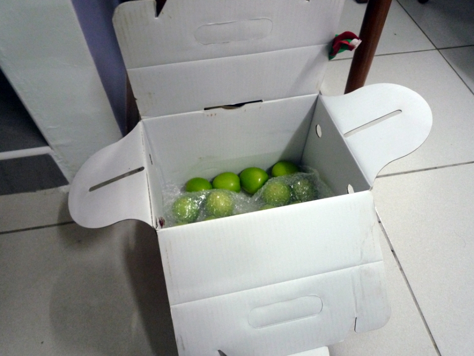 P1000009.jpg