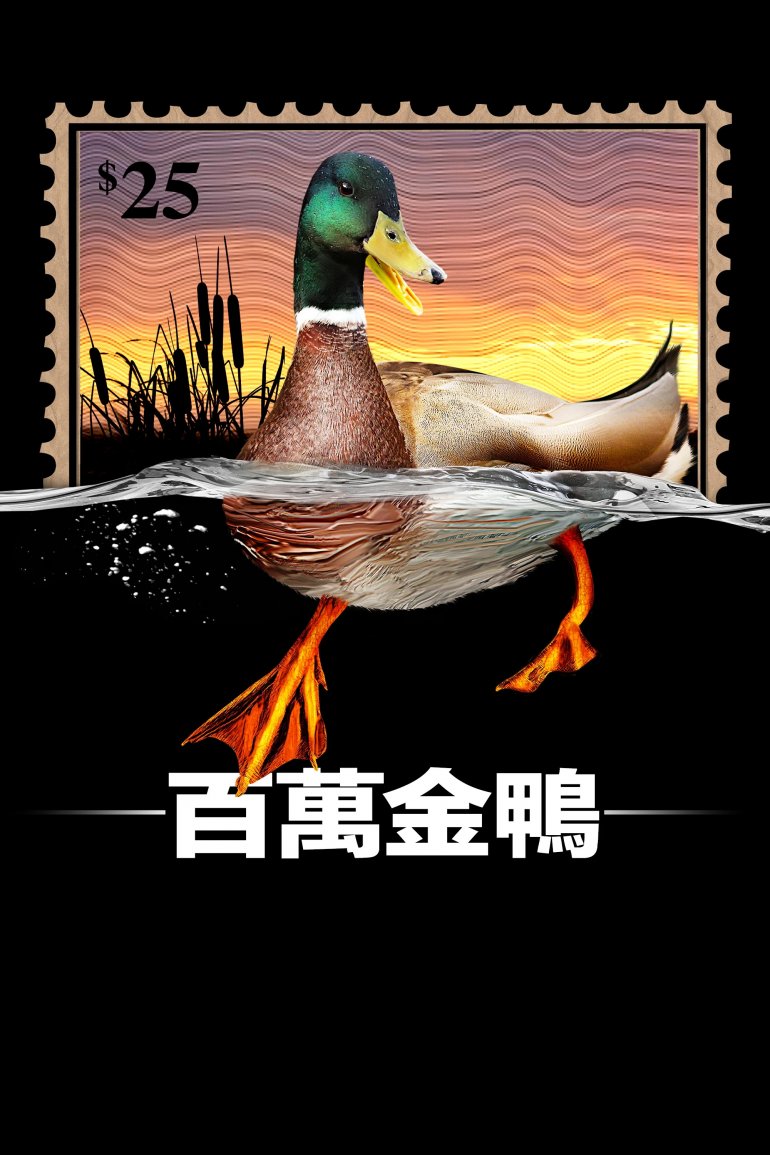 百萬金鴨.jpg