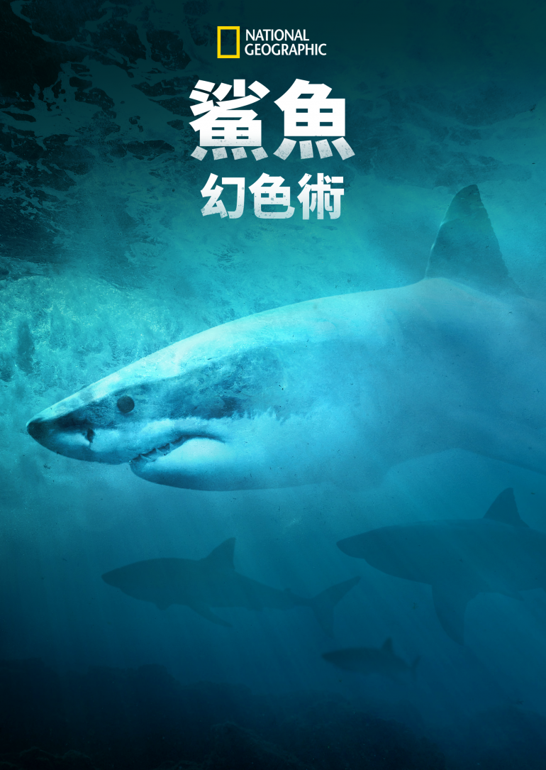 Camo Sharks(鯊魚幻色術).png