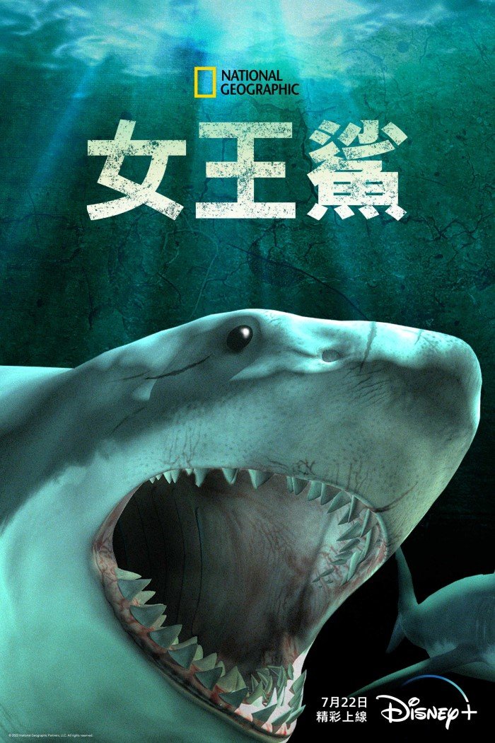 Shark Queens(女王鯊).jpg
